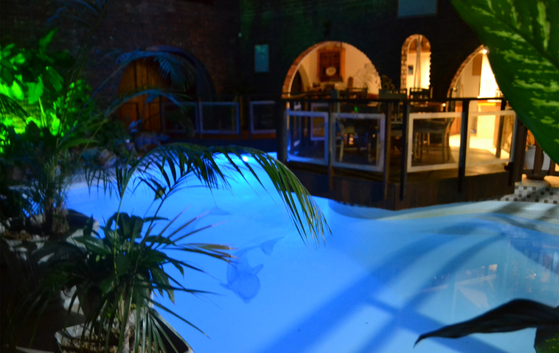 Dolphin View Guesthouse Jeffreys Bay